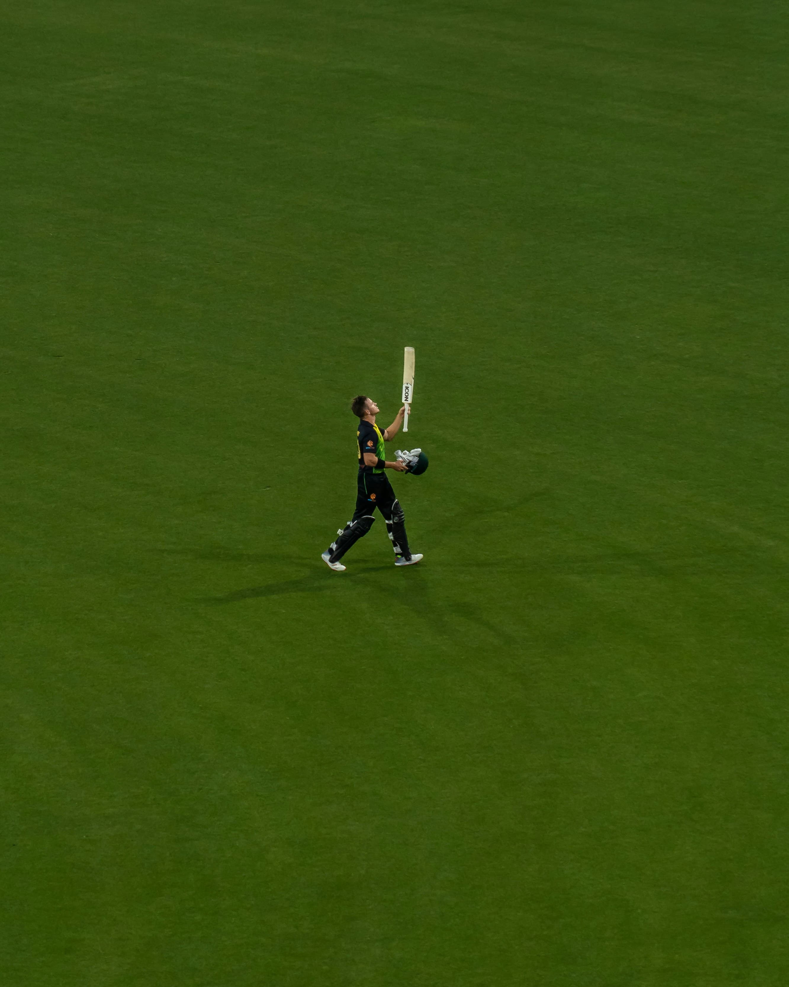 man holding a cricket bat on green cricket pitch